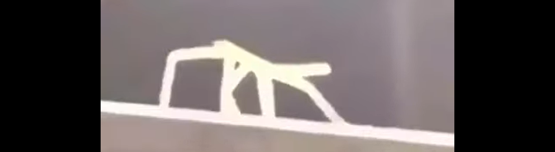 ShrekselHocam banner