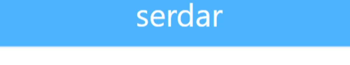 serdarserdar banner