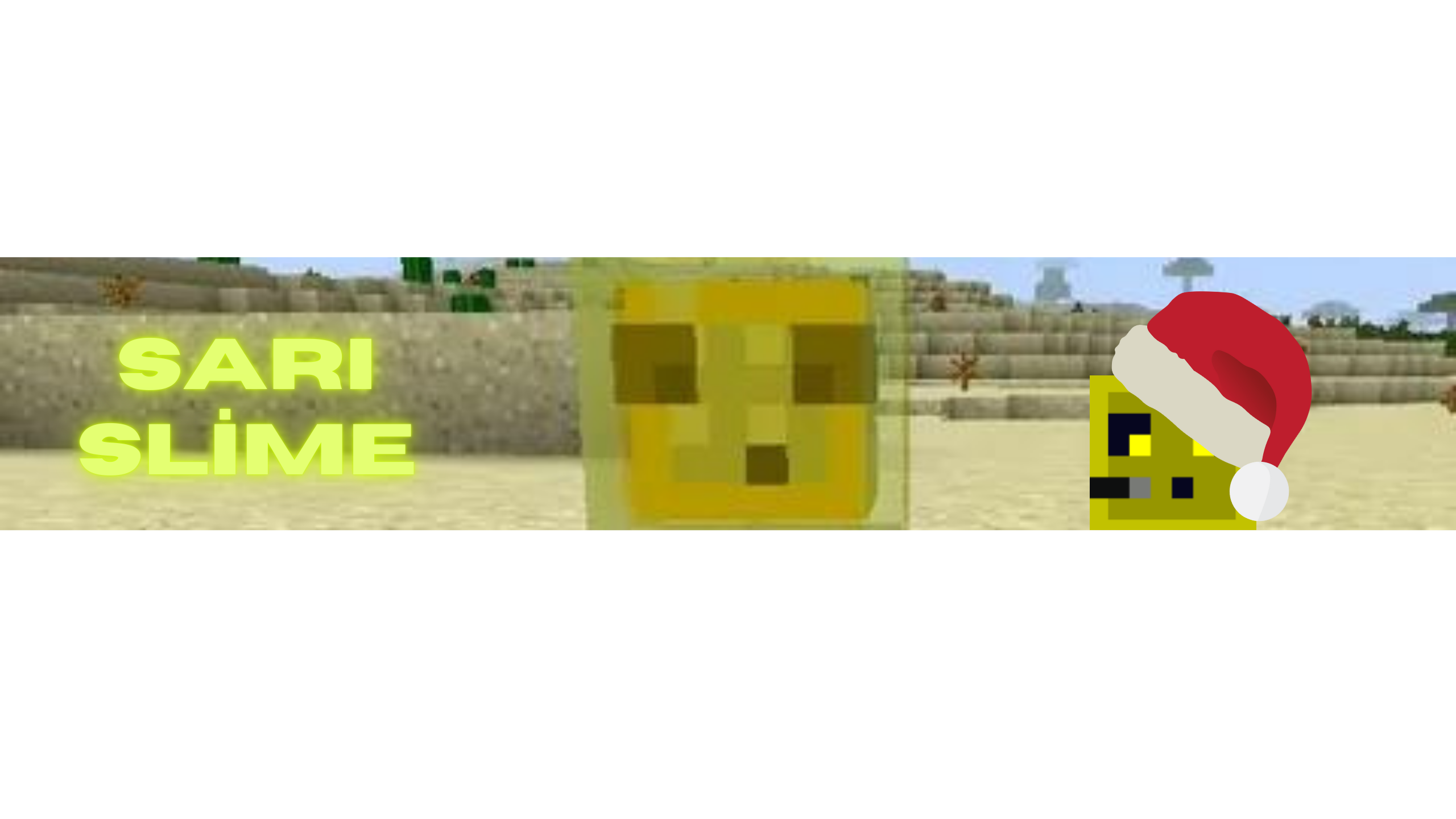 SariSlime13 banner