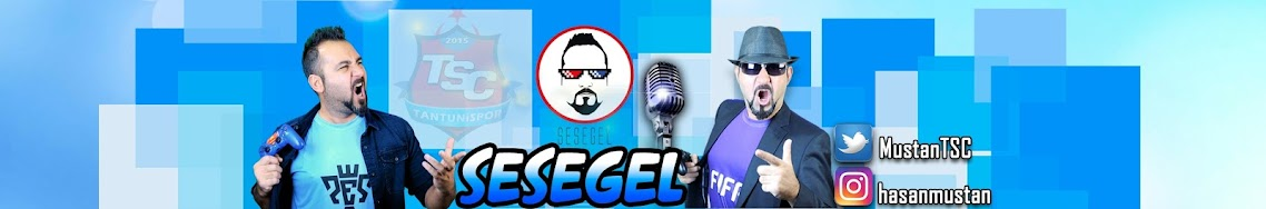 Sesegel banner