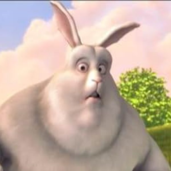 bigbuckbunny451