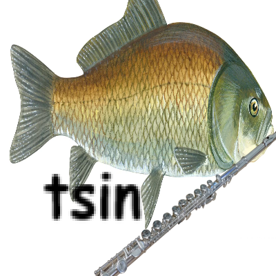 tsin_