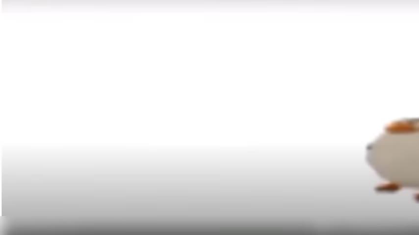 penguin (very emotional)