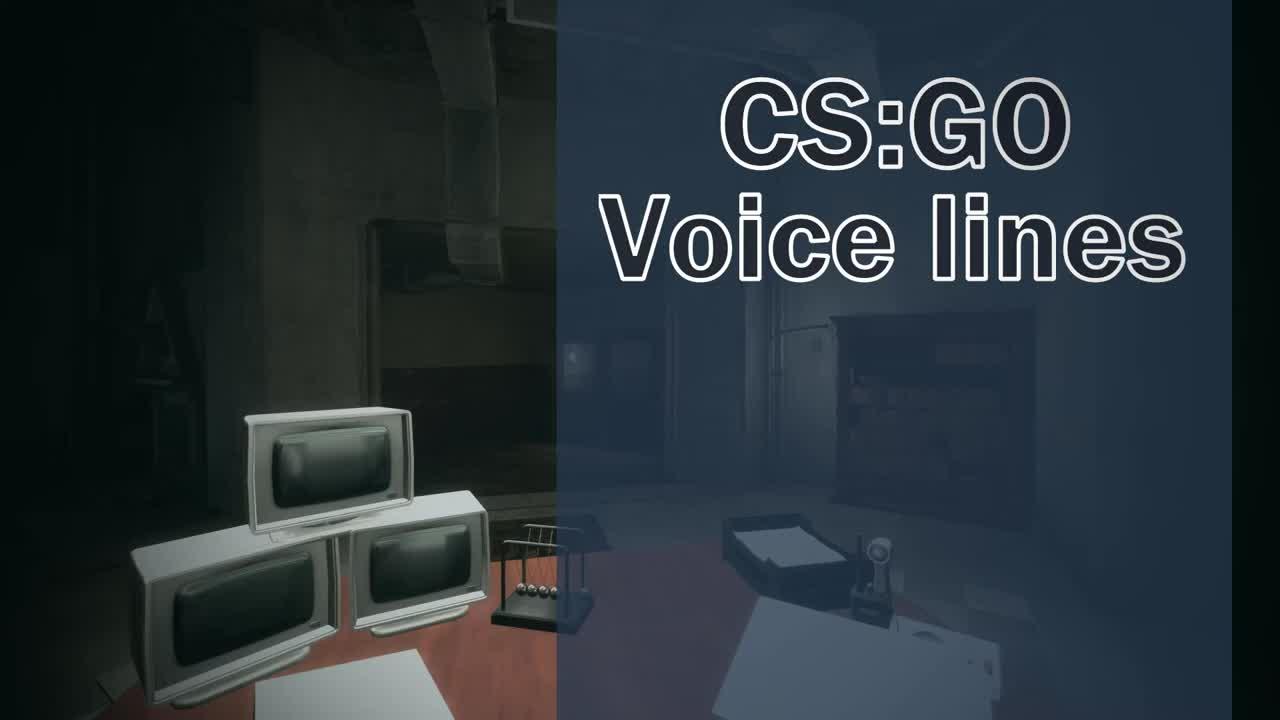CS:GO SAS VOICE LINE