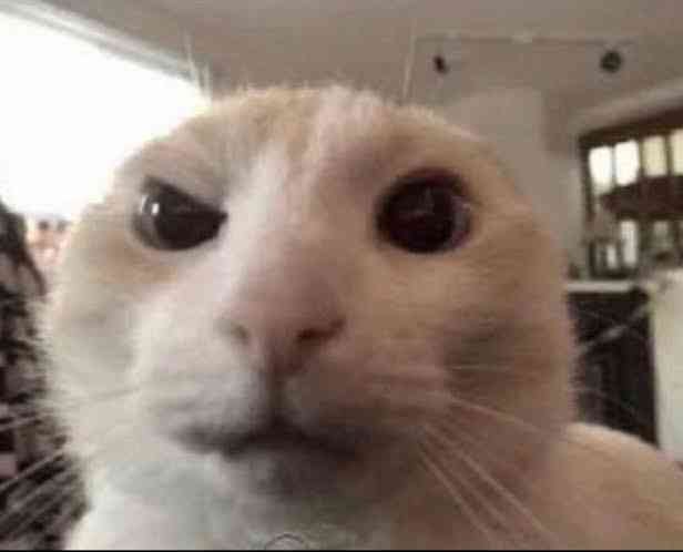 balondan tank yapıp savaş oyuninda adamı toplara boğarak oldurmek