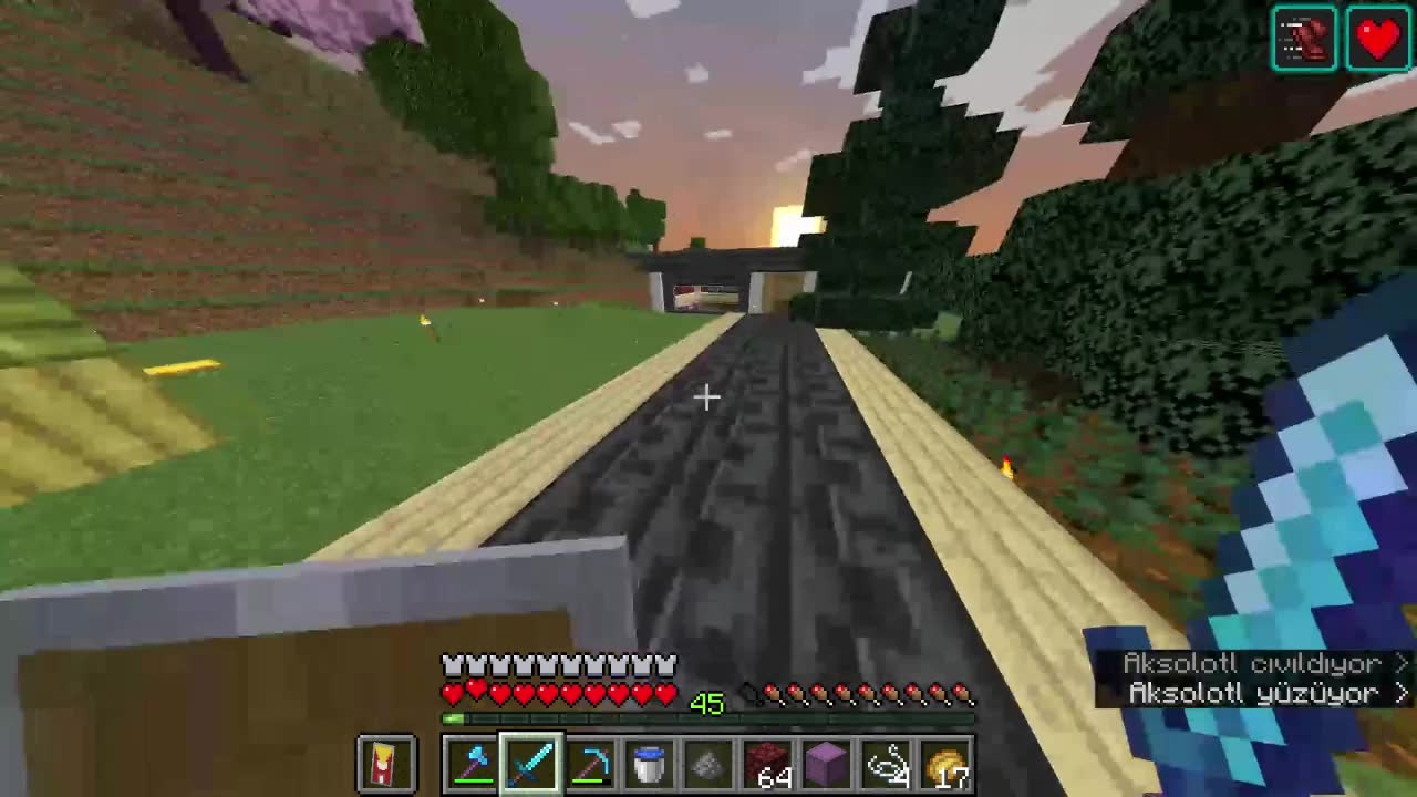 Testo Torpak SPARSMP ev ziyareti