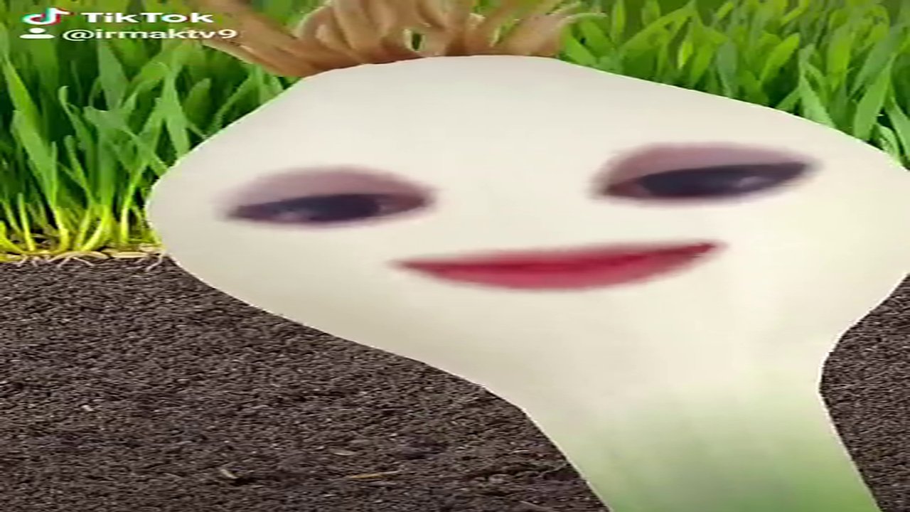 soğan Hatice şarkısı :)