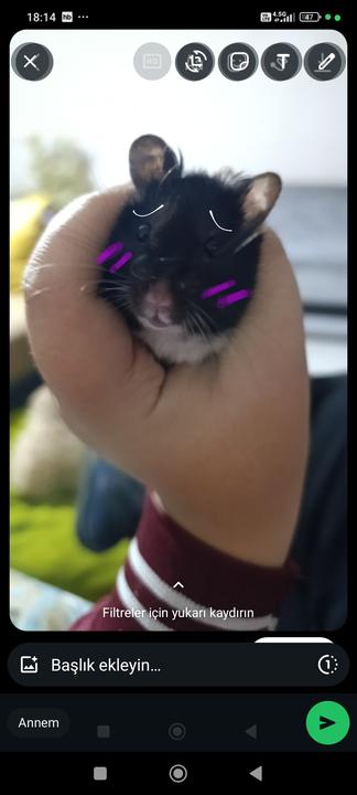 Hikayeyi devam ettir-Youtube Reupload