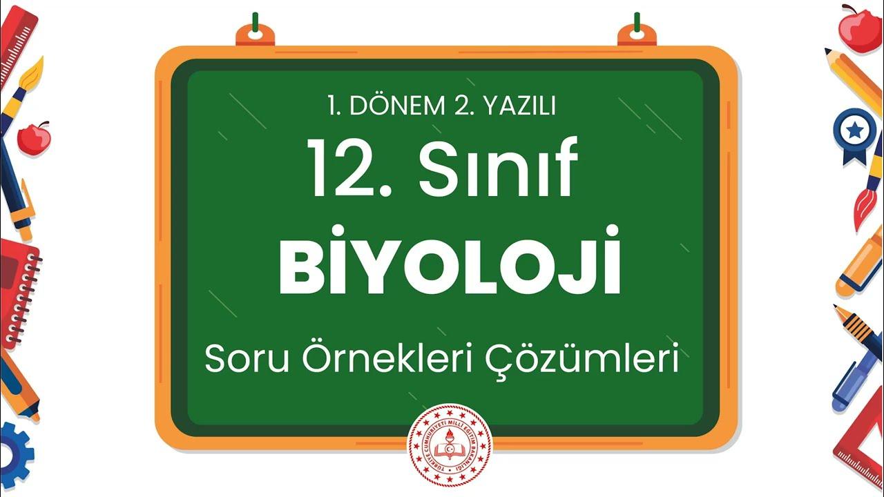 12. Sınıf Biyoloji 1. Dönem 2. Yazılı Soru Örnekleri Çözümleri (2024 - 2025)