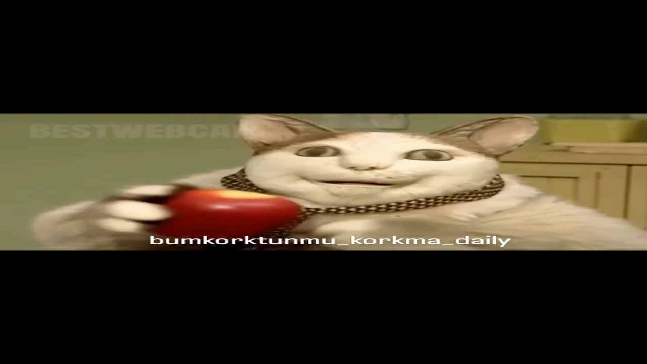 kediköpeklermacerayasiorizle.com