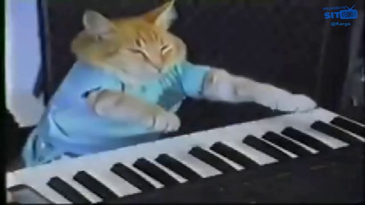 ankaraninbaglaricalankedi