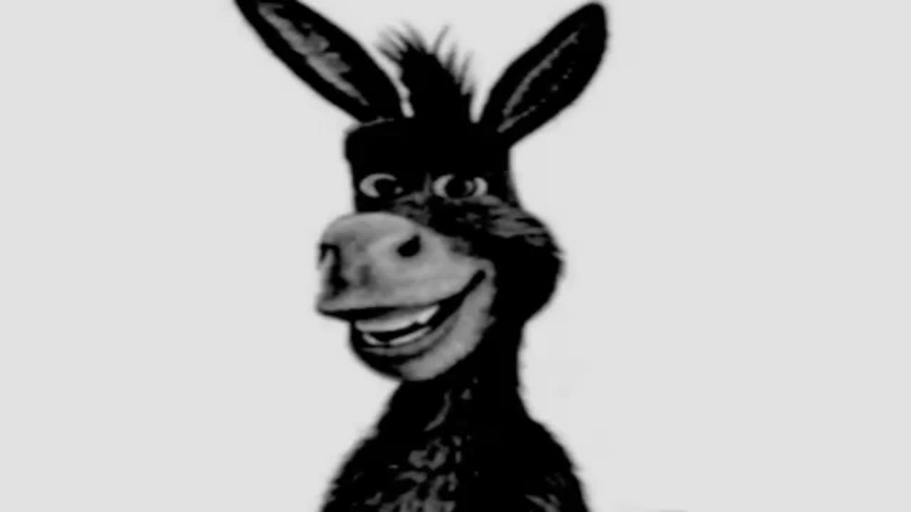 eşşex - TEREYARREŞŞEX