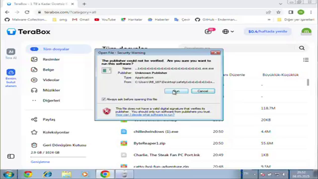 NeseOs vs salinewin.exe şavaştılıyorum