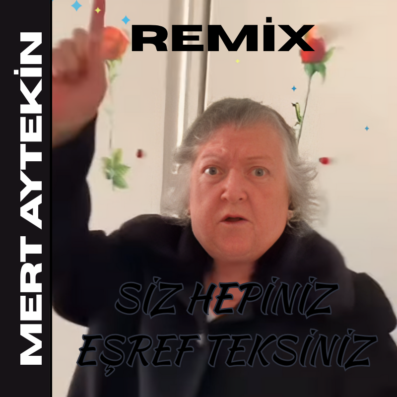 Babaanne - Siz Hepiniz Eşref Teksiniz ( Mert Aytekin Original Remix )