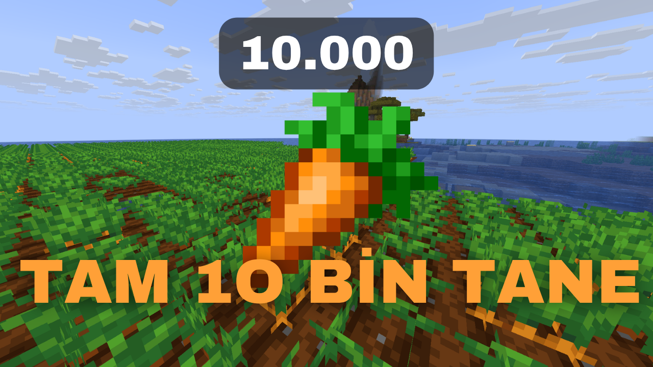 Minecraft'ta 10 bin havuç topladım