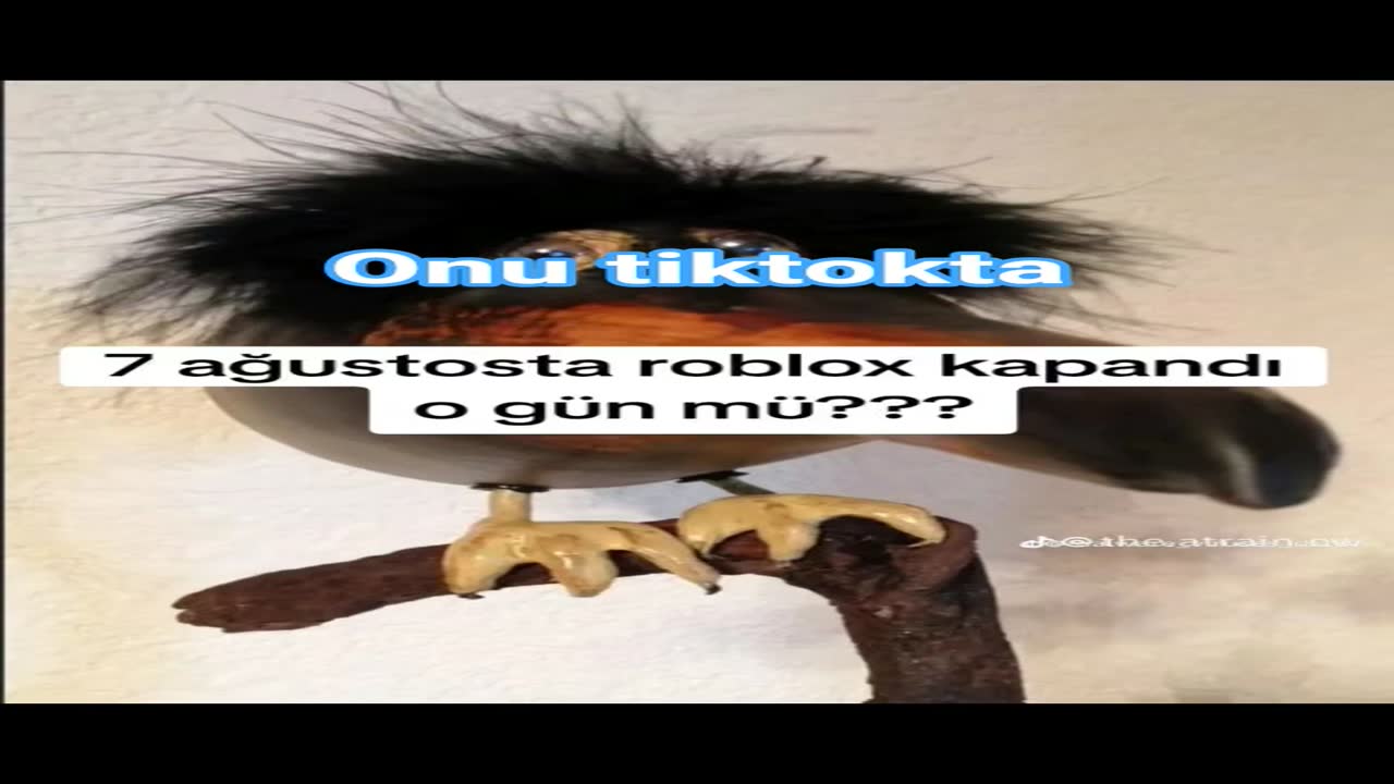 zaten 7 ağustos