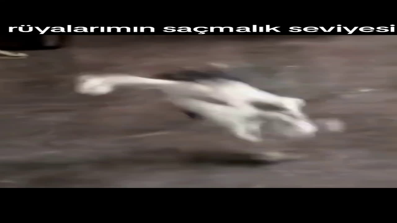 rüyanın saçma seviyesi 1