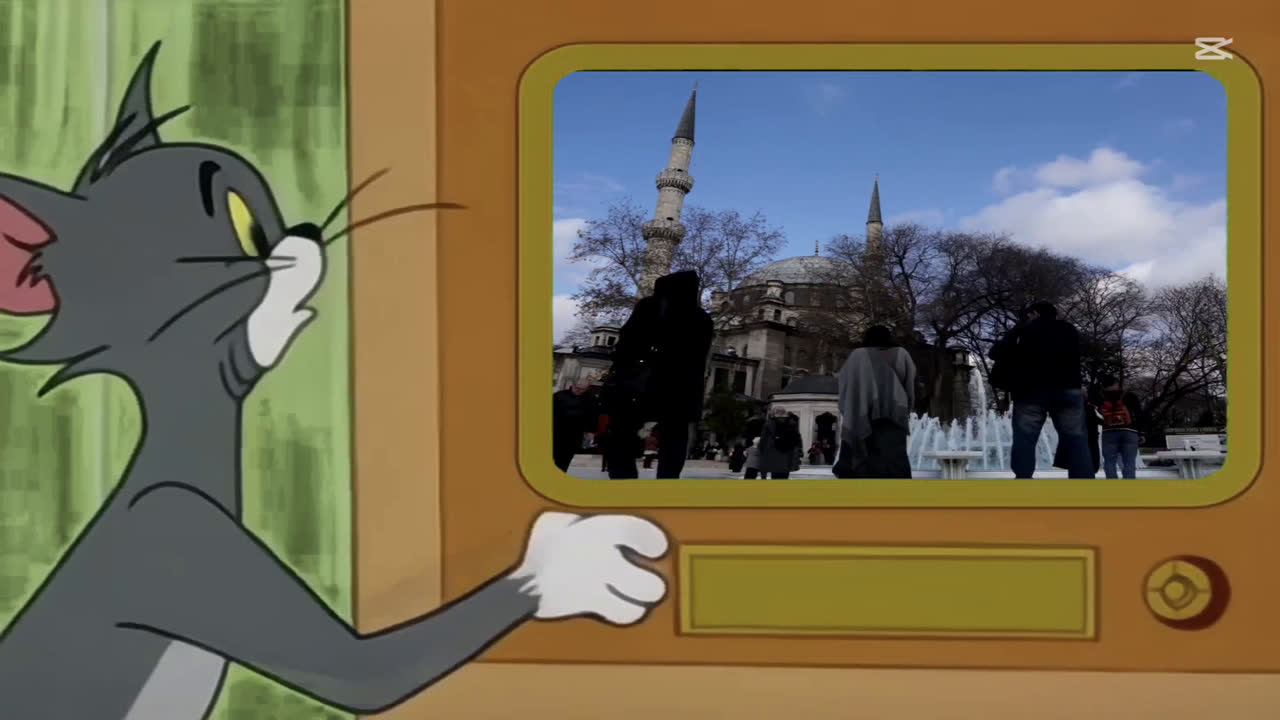 Tom televizyon editörü 