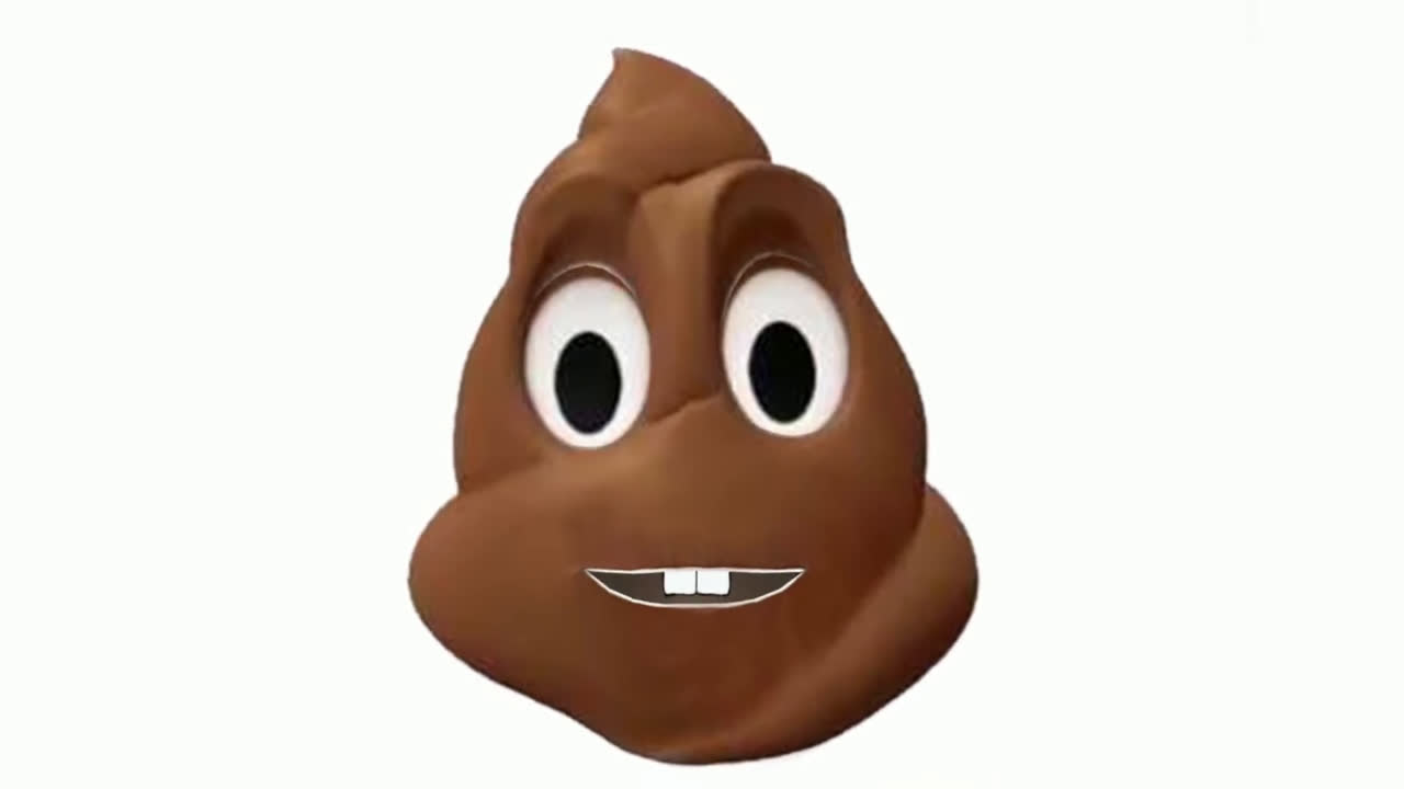 bu ne biçim bok hiç kokusu yok şok oldum,bir bokun hayatı,benim adım bok kokuyorum çok