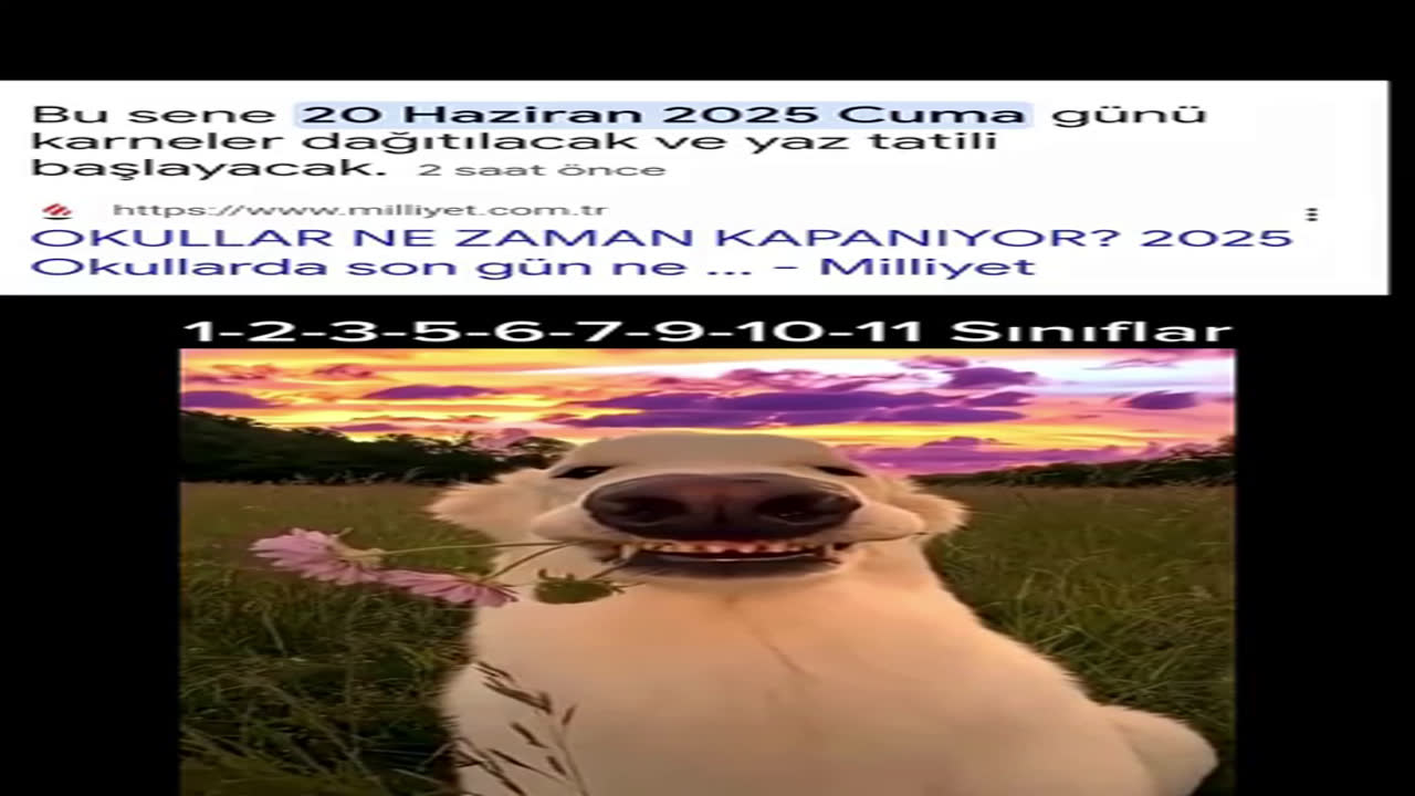 1-2-3-5-6-7-9-10-11 Sınıflar