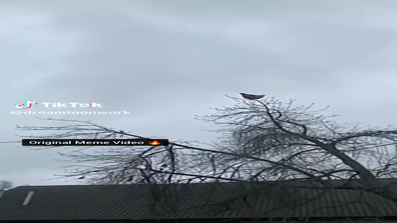  kneeeeeewwwwwwwwwwww 