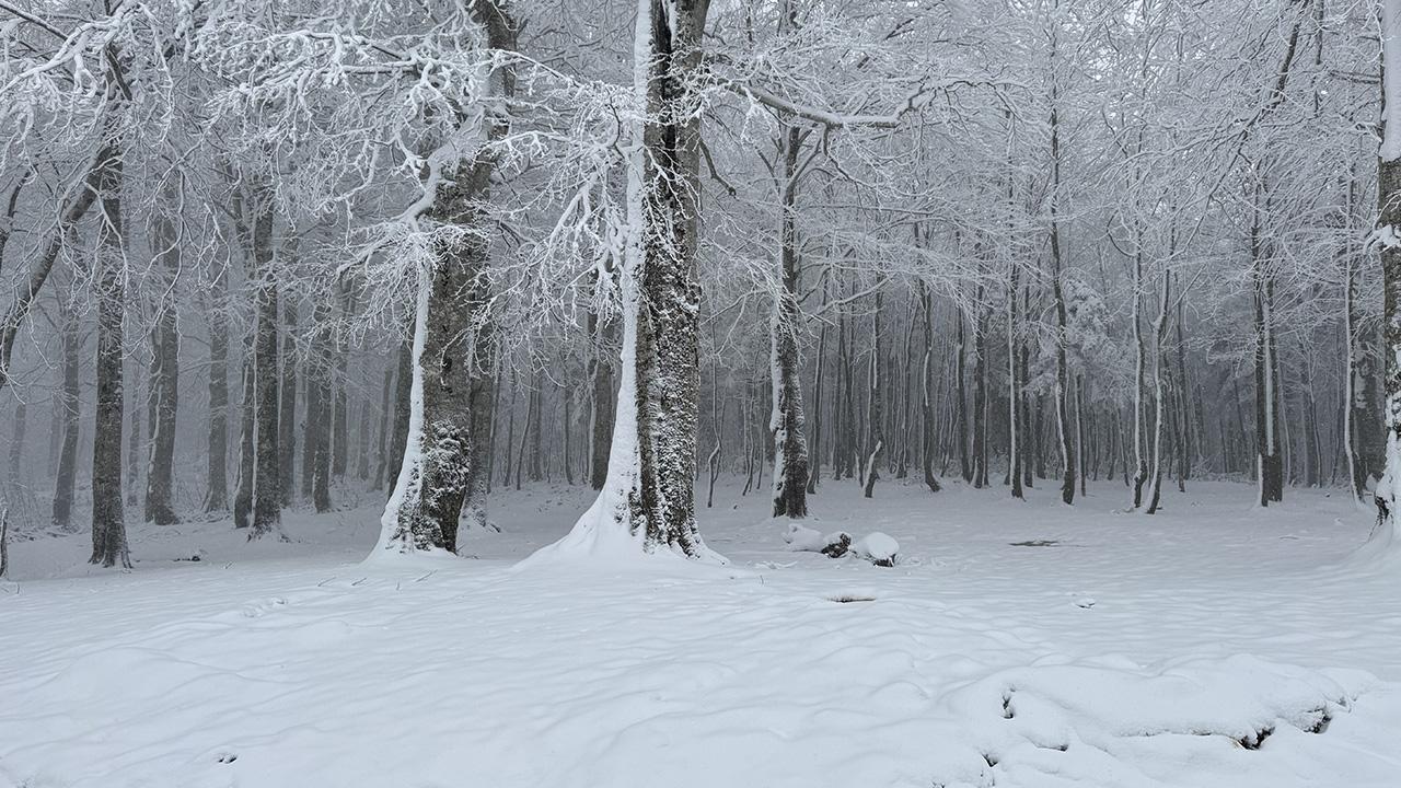 TETRİS OYNAMACA ORİJİNAL