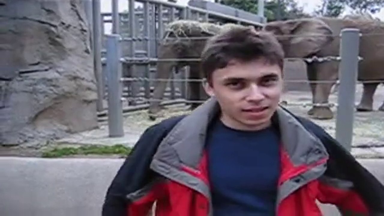 Ben hayvanat bahçesindeyim