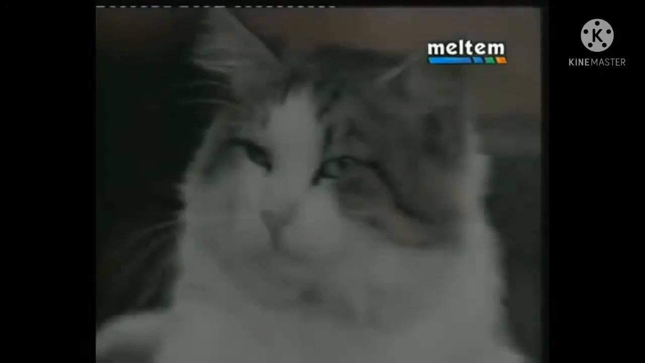 alf komik sahneler türkçe