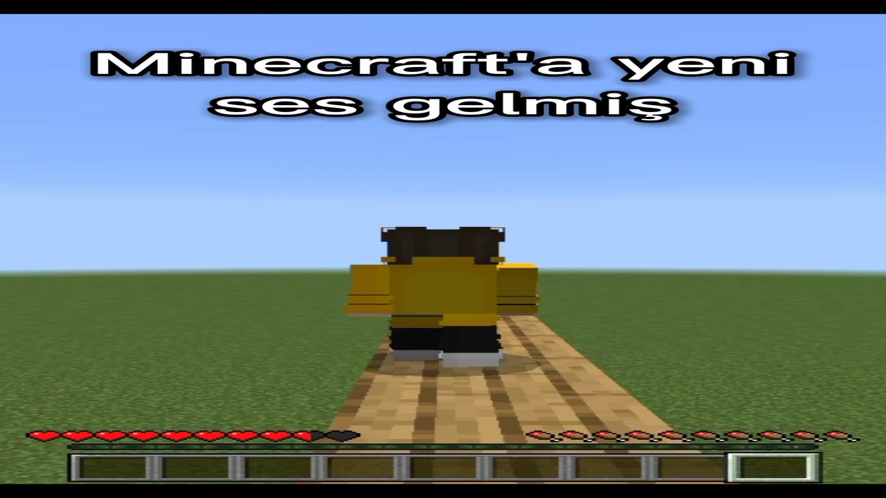 Minecraft'a yeni ses gelmiş