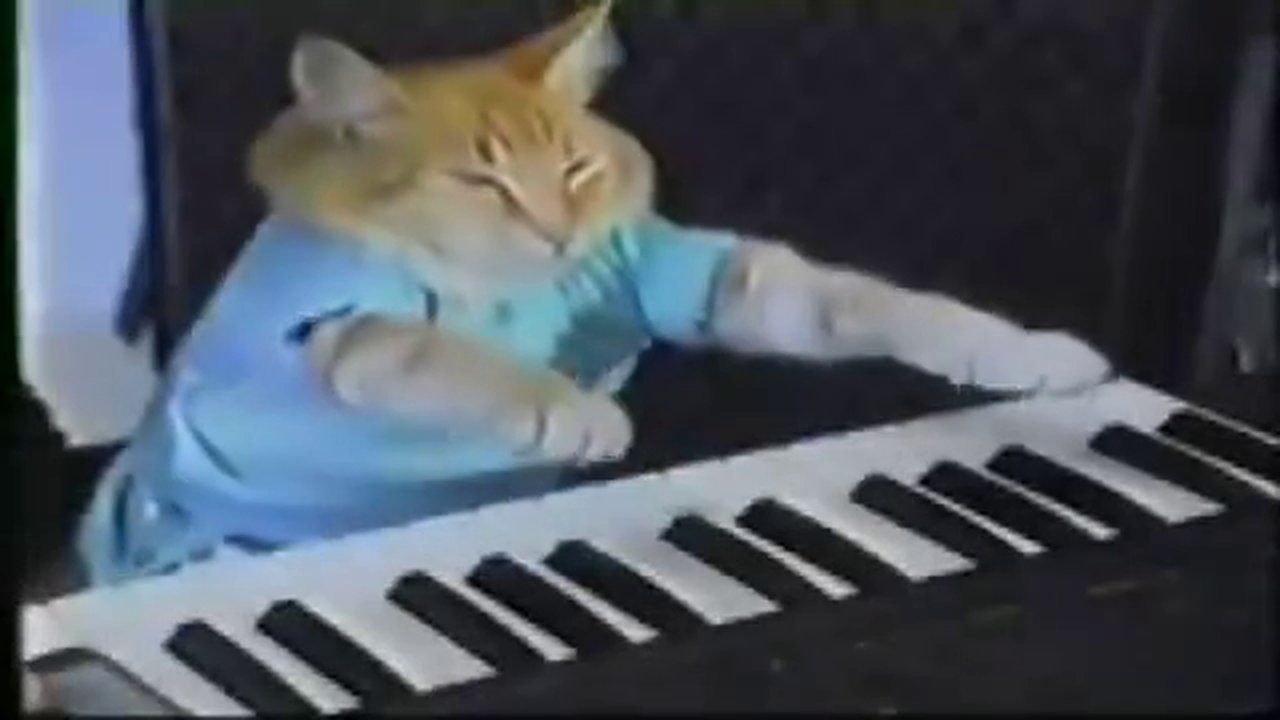 Keyboard Cat! XD