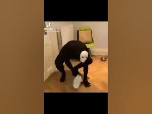 Random memes i found from tiktok part 1