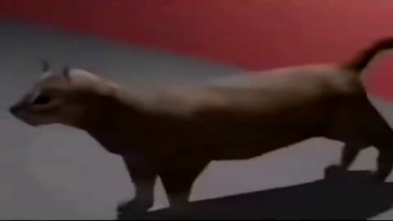 usb mikro typ b geräten