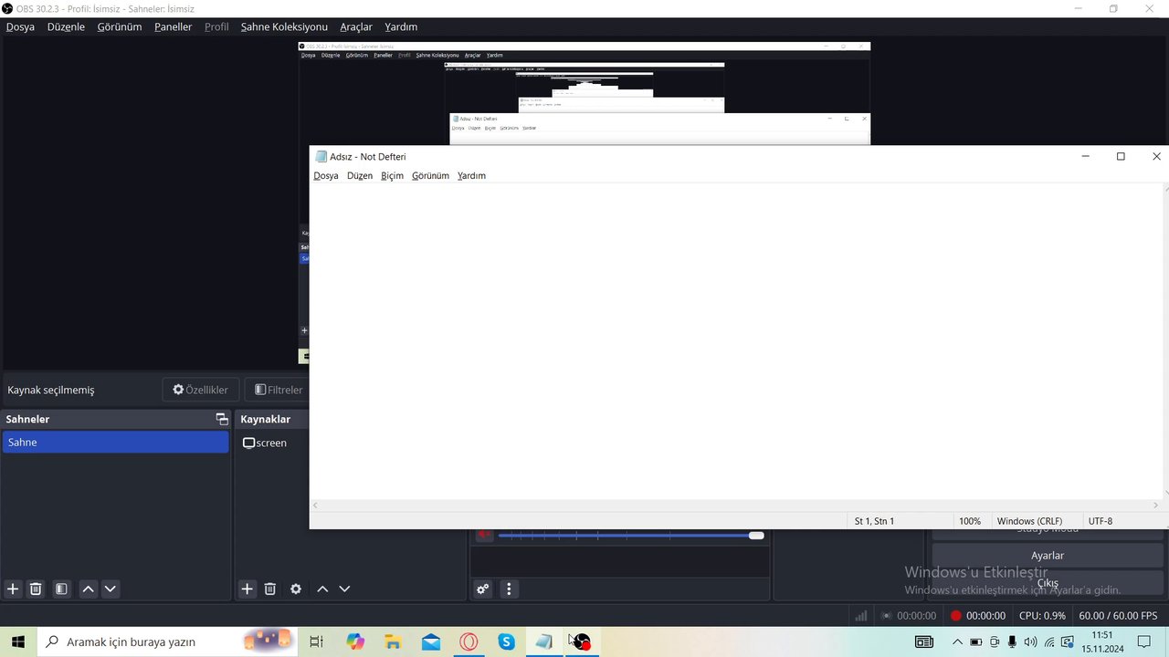 Scratch Üzerinden Patlayan Kedi Yapımı (SitWatch'daki İlk Scratch Videosu!)