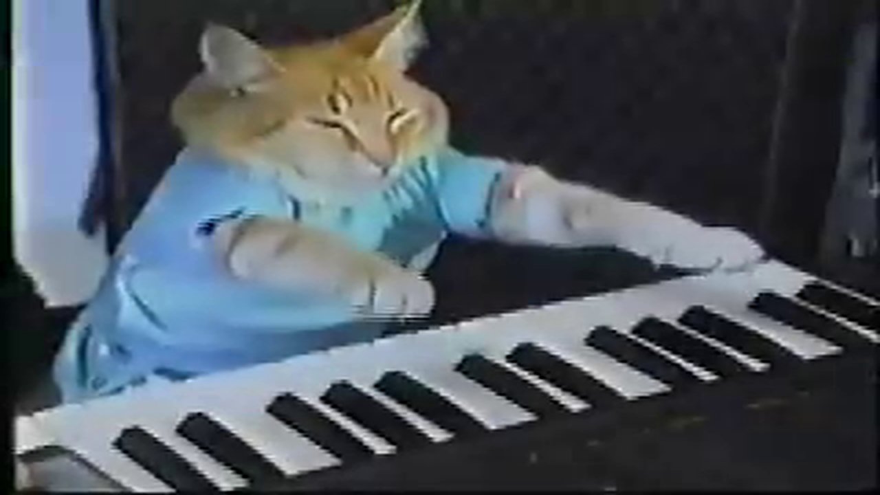 Keyboard Cat!