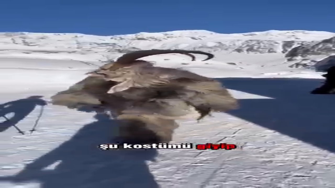 hayirlicumalarmesaji