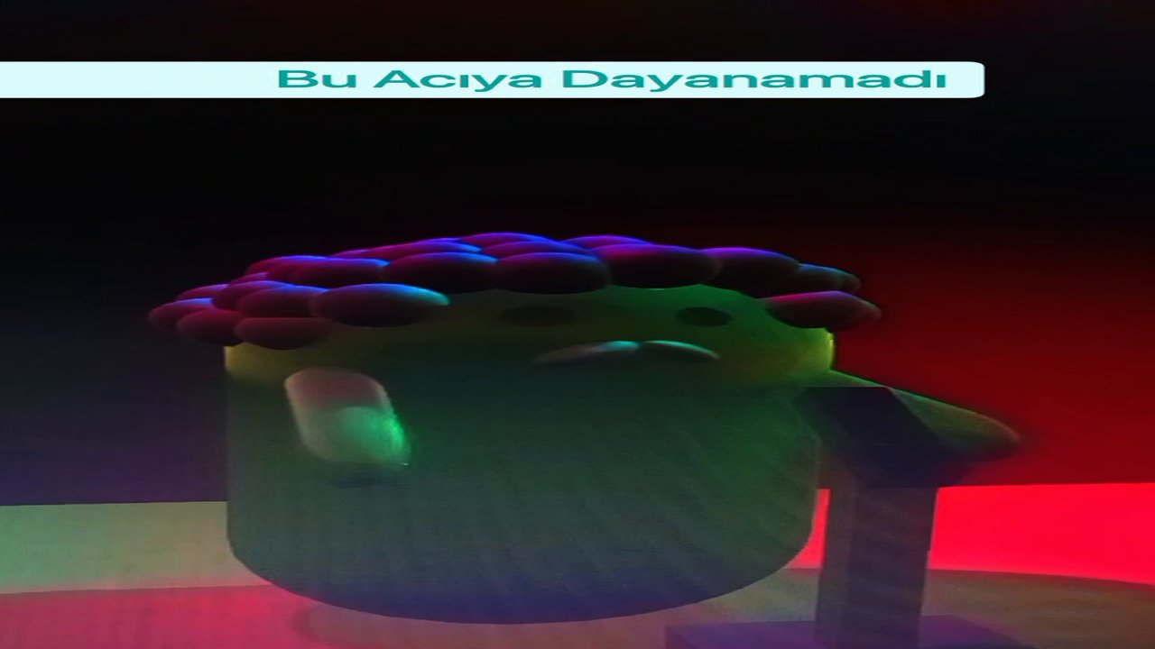 Capsule Müslüm Gürses Acıdan İnt*h*r Ediyor