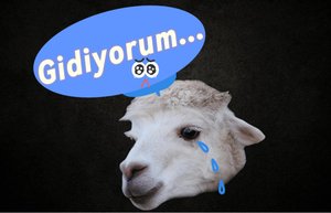 Gidiyorum... #İlk4KVideo