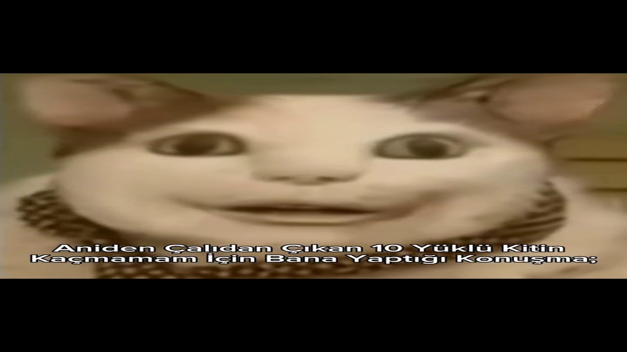 Bildirim Shitpostcu Dayi 1 shitpost Gönderdi #9 Hey dostum korkma kit