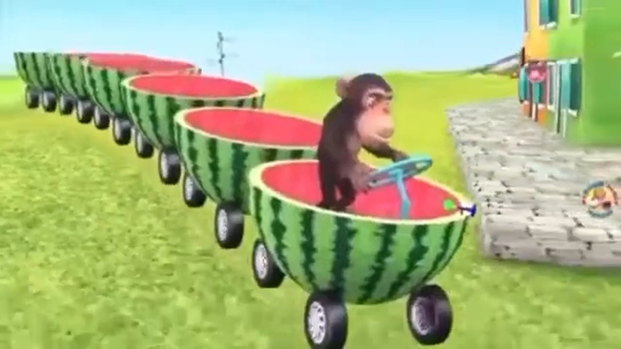 Karpuz süren maymun