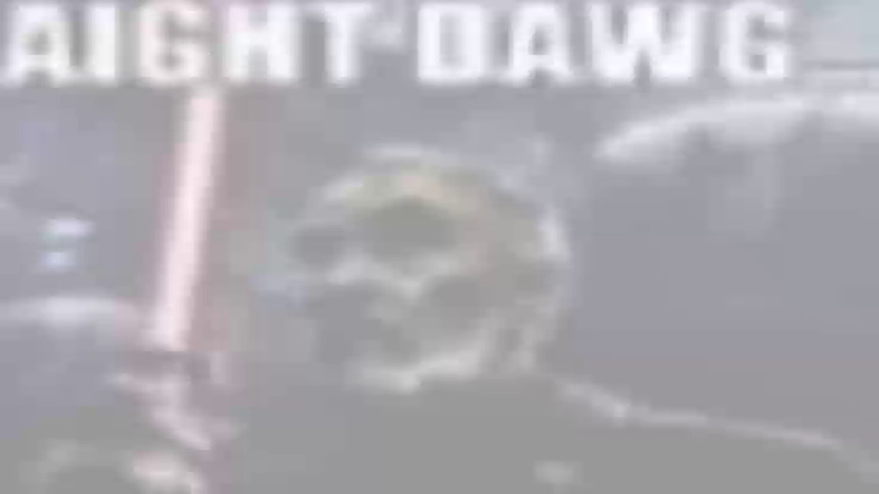 Dünyanın en anlamsız edebiyat videosu