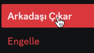 Arkadaşın Yaptığın Şakayı Anlamadığında... | Discord