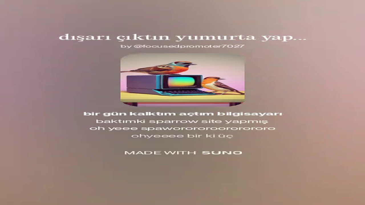 sparrow site yapmış (funk music)